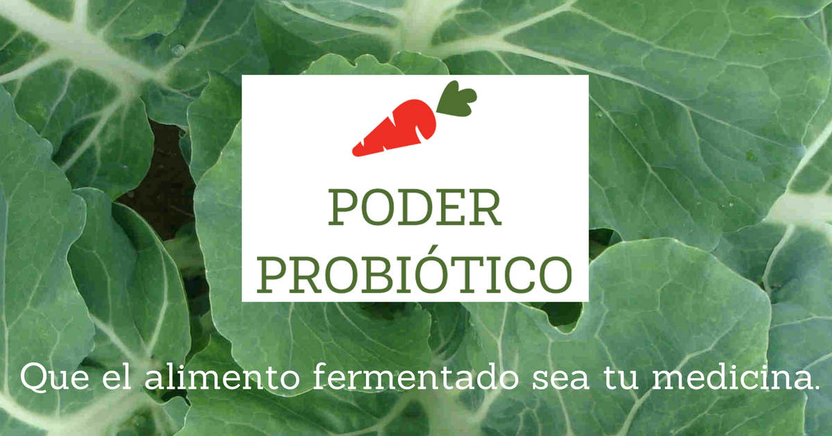 ¿Cómo hacer alimentos fermentados?