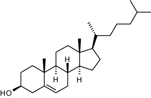 estructura del colesterol