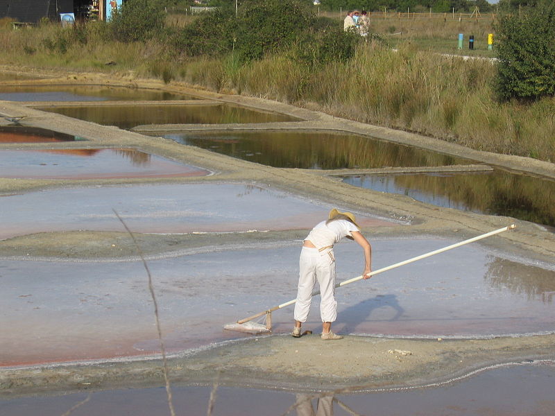 foto de persona cosechando flor de sal