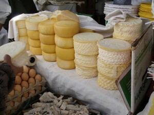 próbioticos encapsulados con suero de queso
